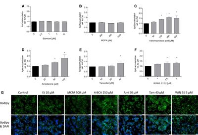 Effect of Toxicants on Fatty Acid Metabolism in HepG2 Cells